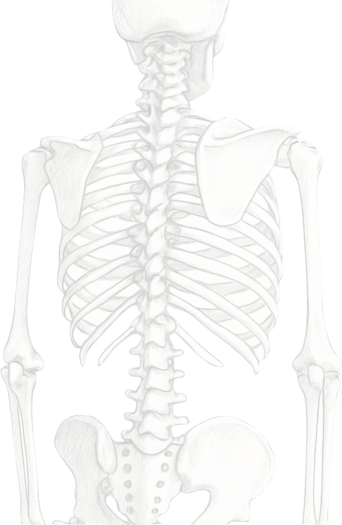 Skeleton structure